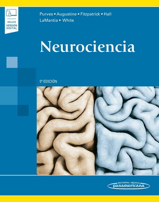 PURVES: NEUROCIENCIA