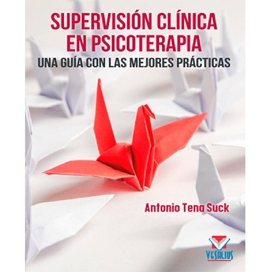 SUPERVISIÓN CLÍNICA EN PSICOTERAPIA UNA GUÍA CON LAS MEJORES PRÁCTICAS