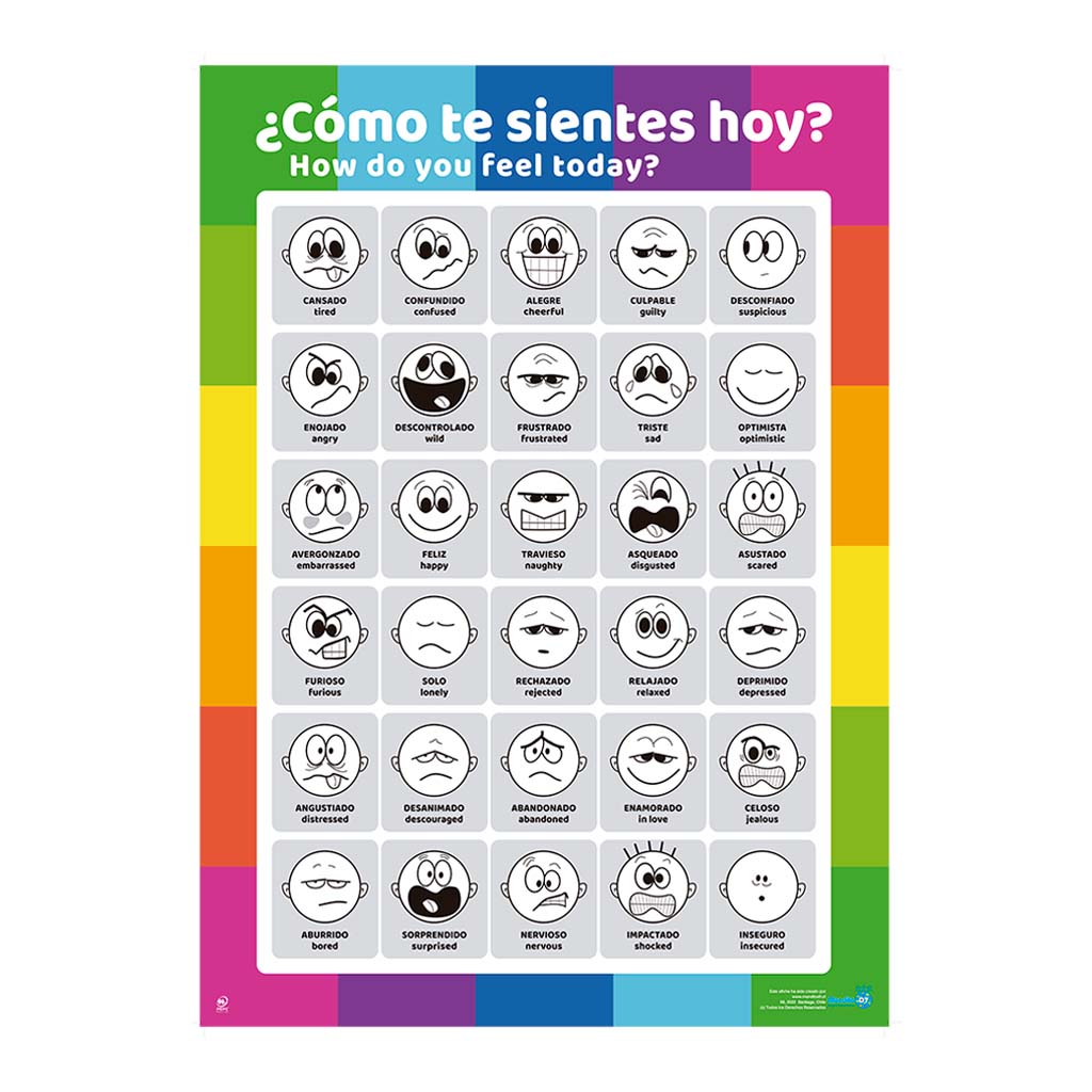 AFICHE DE LAS EMOCIONES