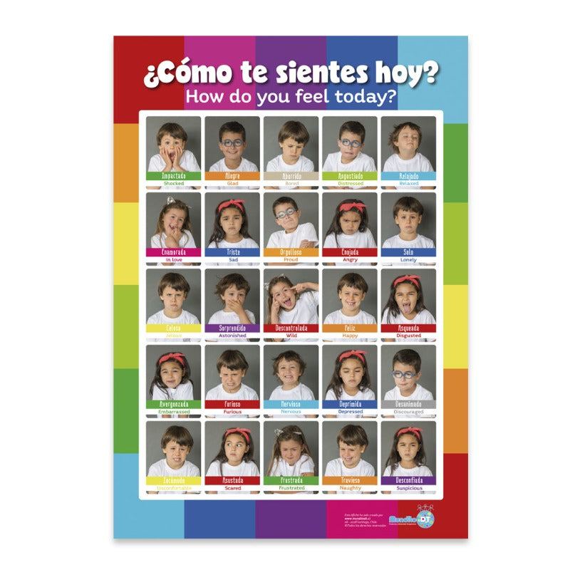 AFICHE DE LAS EMOCIONES FACES